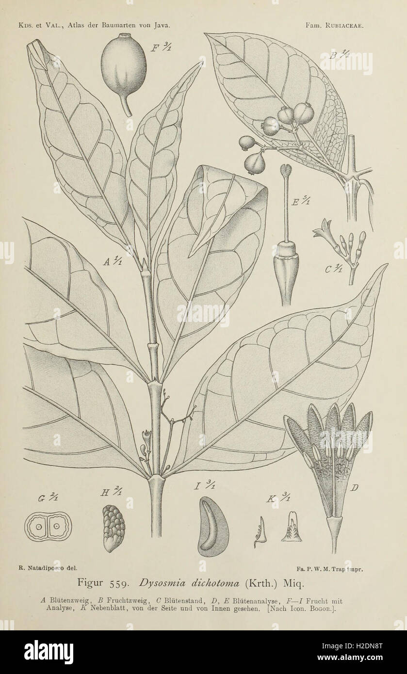This atlas provides detailed illustrations and descriptions of various ...