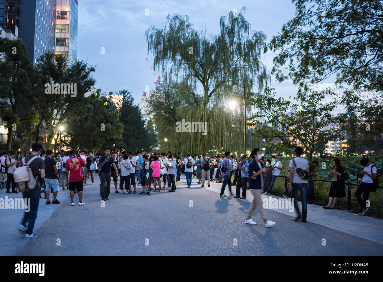 Pokemon Go Players Gathering Shinobazu Pond Ueno Park Taito Ku Tokyo Japan Stock Photo Alamy Pokemon Go Players Gathering Shinobazu Pond Ueno Park Taito Ku Tokyo Japan Stock Photo Alamy