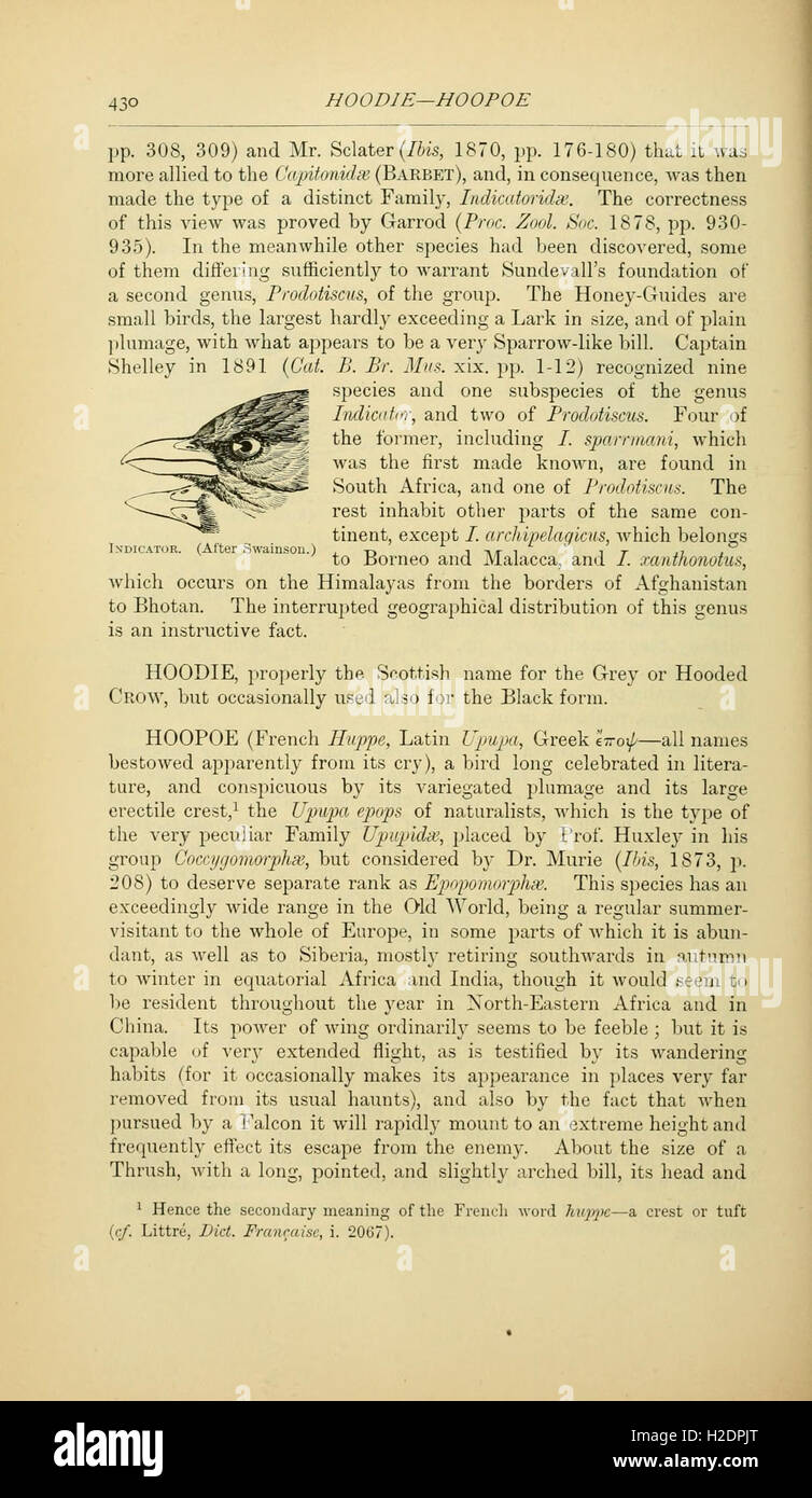 An extensive reference work on bird species, providing detailed ...