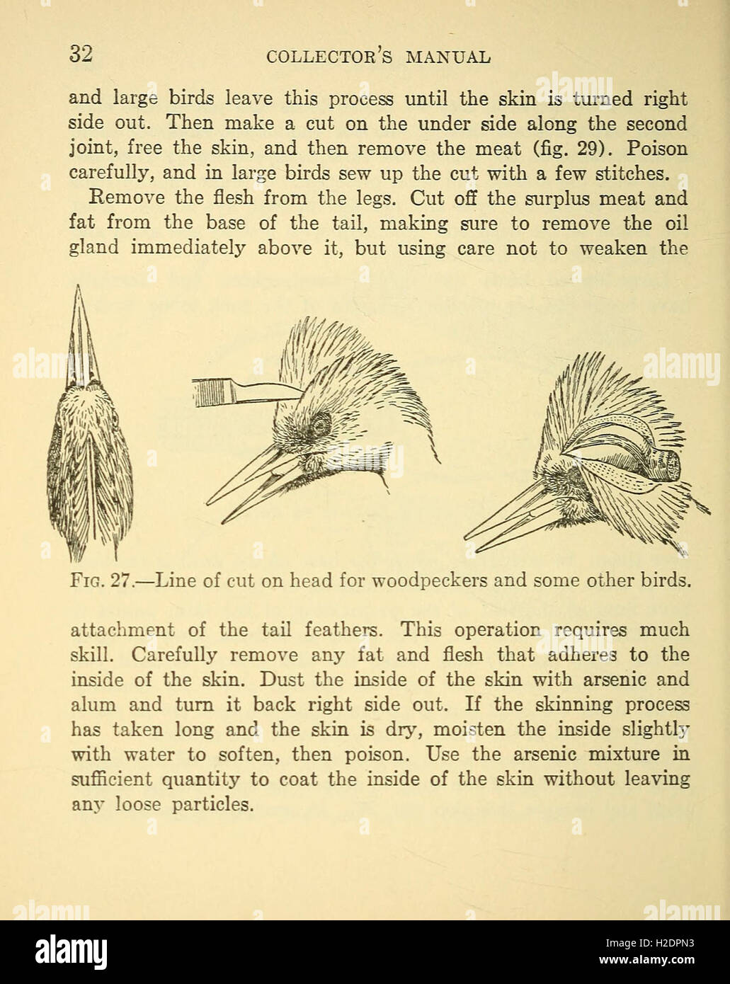 Natural History Collection Process This manual provides guidelines and instructions for natural history ...
