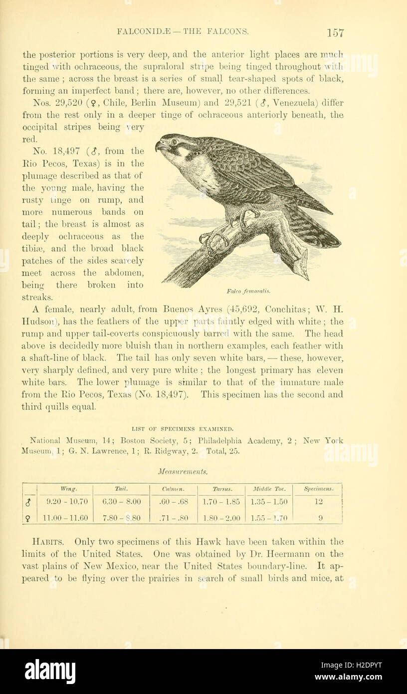 This text chronicles the history of bird species in North America ...