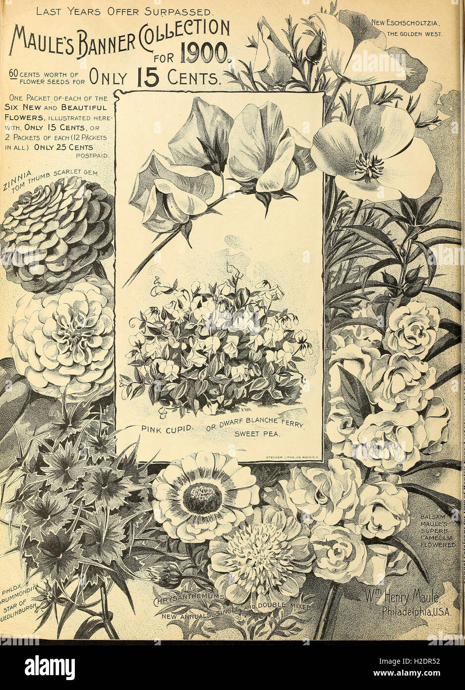 This catalog from 1900 offers a comprehensive selection of seeds