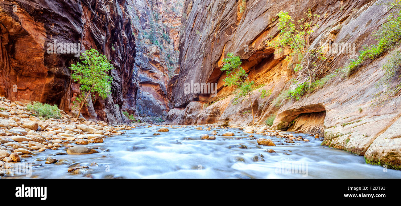 The iconic bend of the Virgin River Stock Photo - Alamy