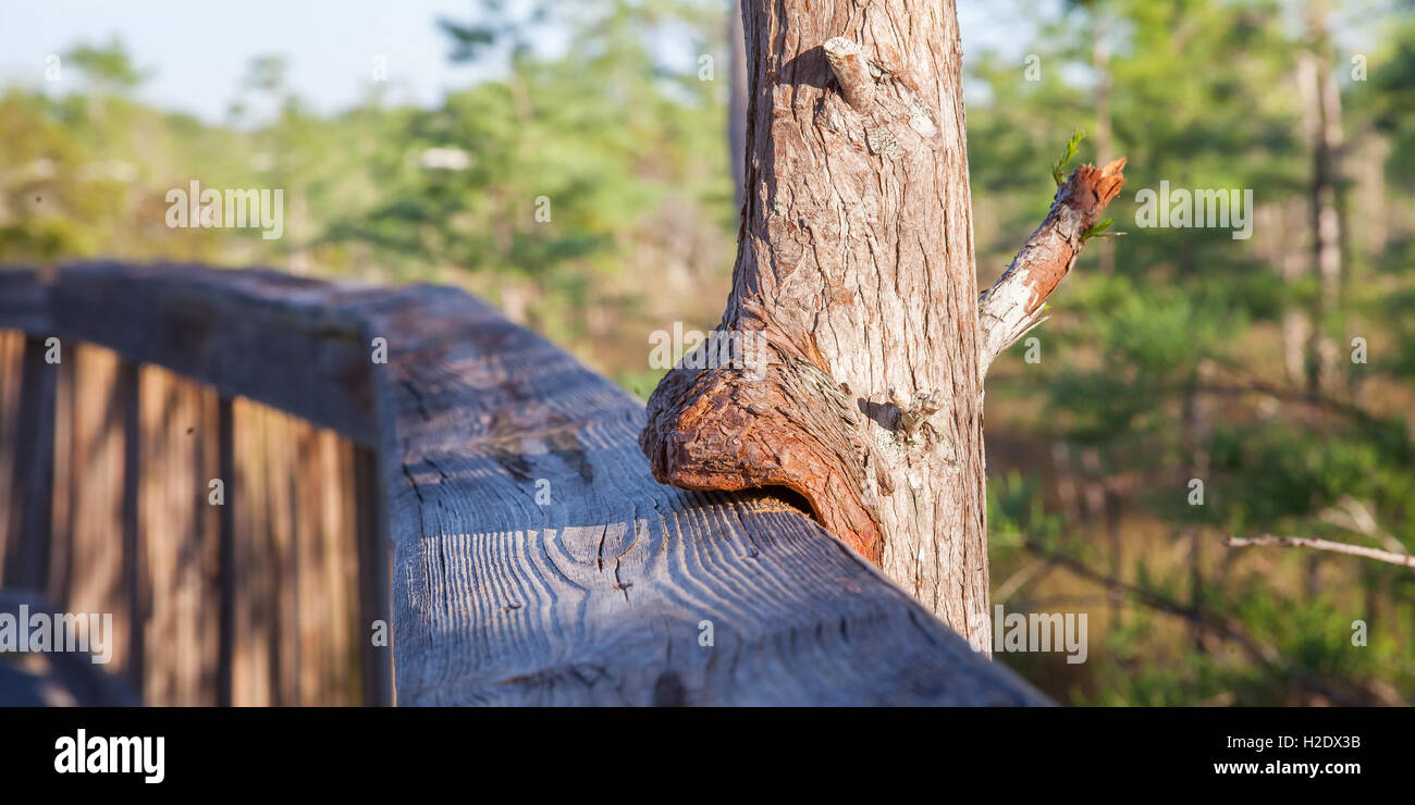National parks system hi-res stock photography and images - Alamy
