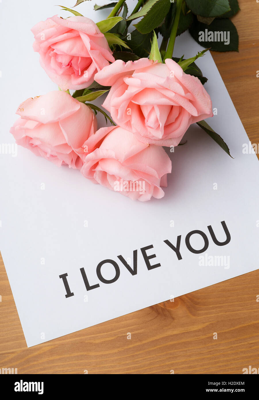 Pink rose with message of I Love You Stock Photo - Alamy