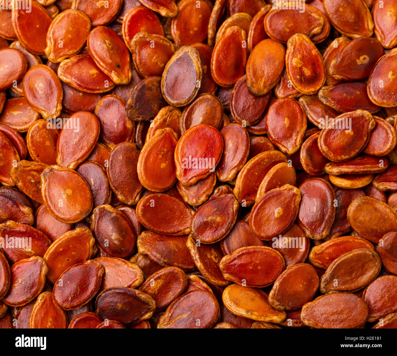 Red melon seed Stock Photo Alamy
