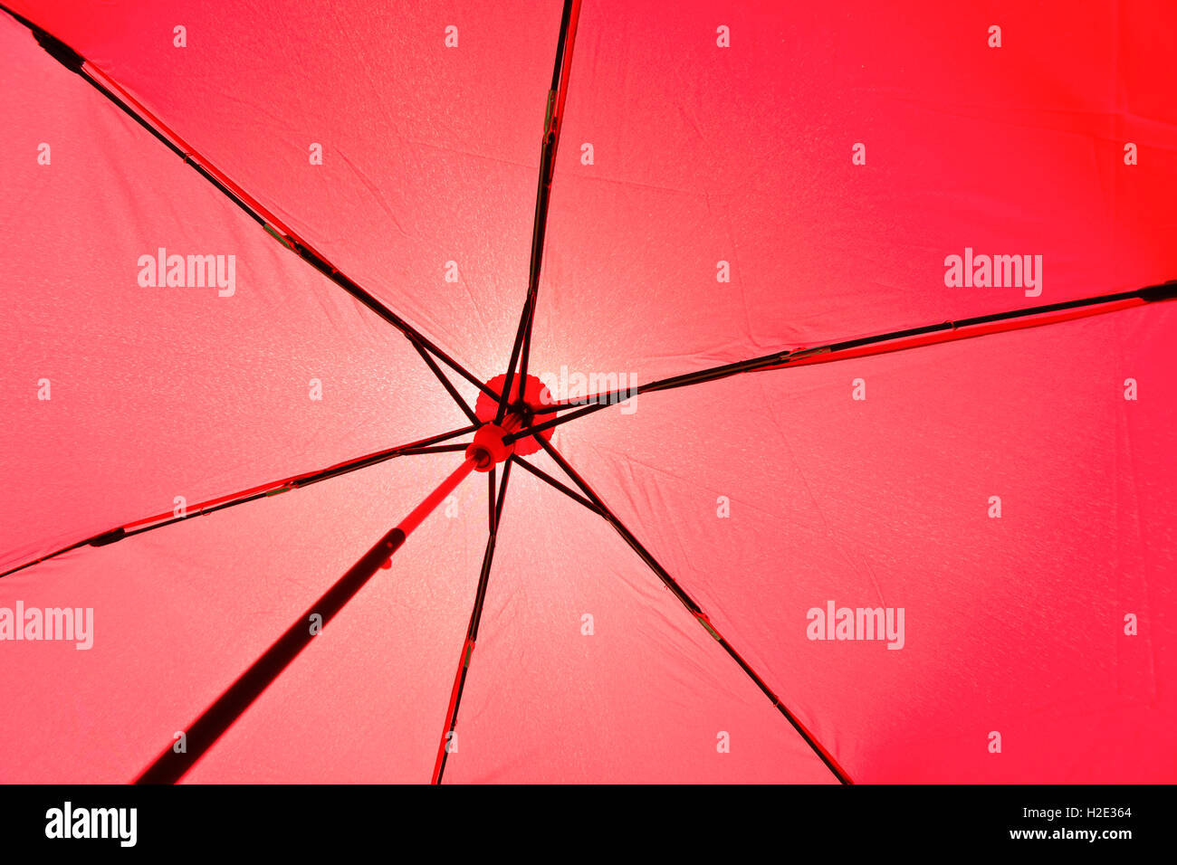 Red umbrella Stock Photo
