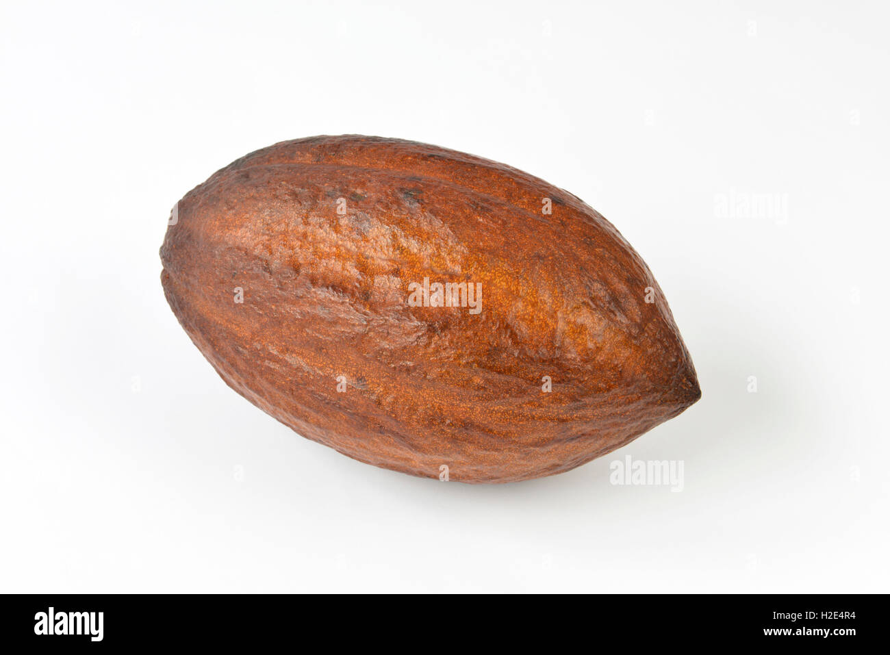Cacao, Chocolate Nut Tree (Theobroma cacao), dried fruit pod. Studio picture against a white background Stock Photo