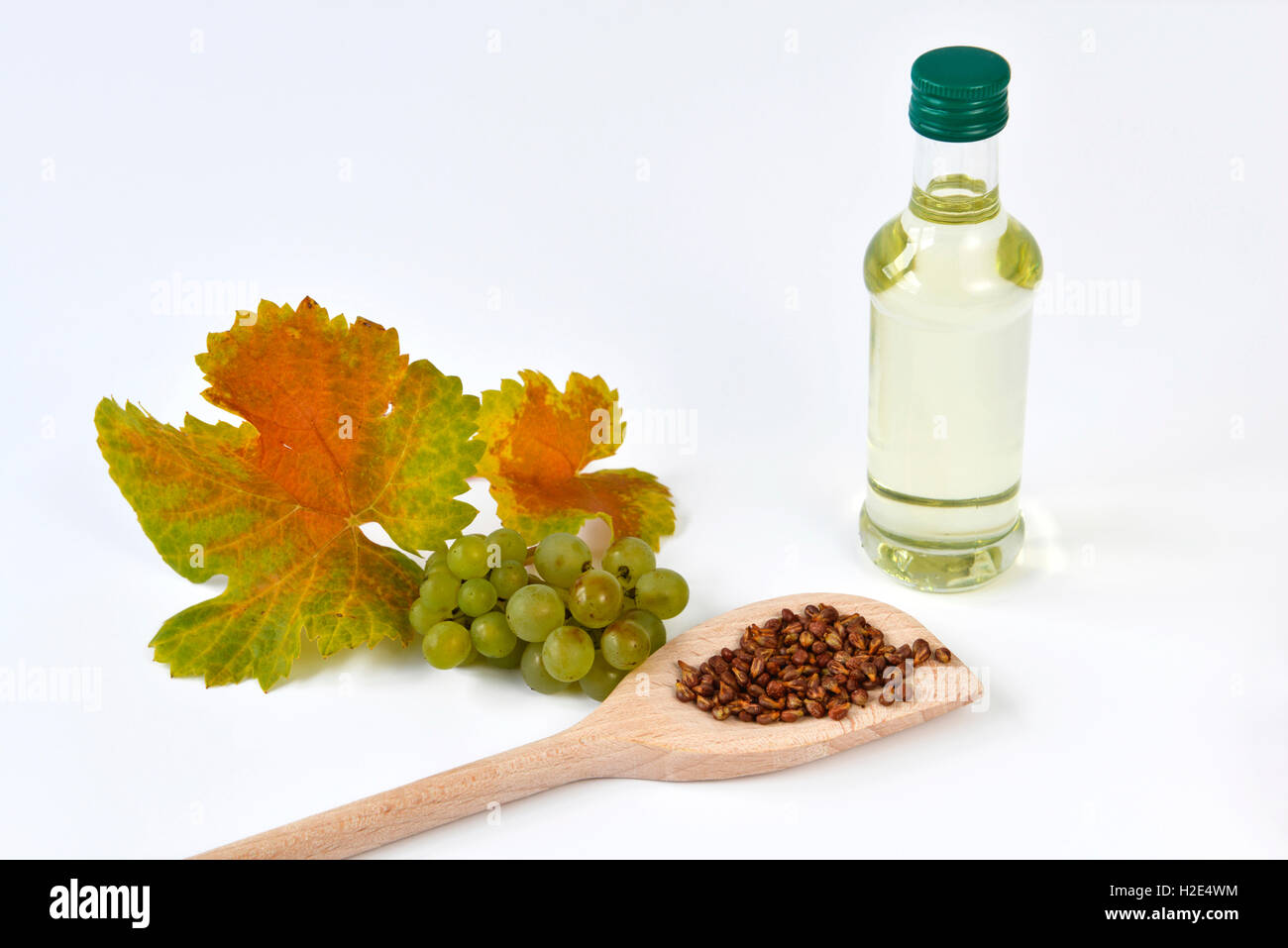 Grape Vine (Vitis vinifera). Leaves, grapes, seeds and a bottle with