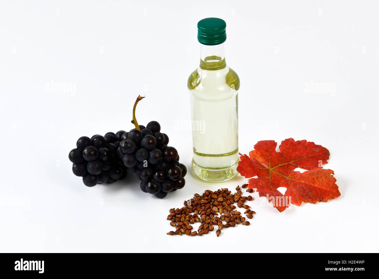 Grape Vine (Vitis vinifera). Leaves, grapes, seeds and a bottle with