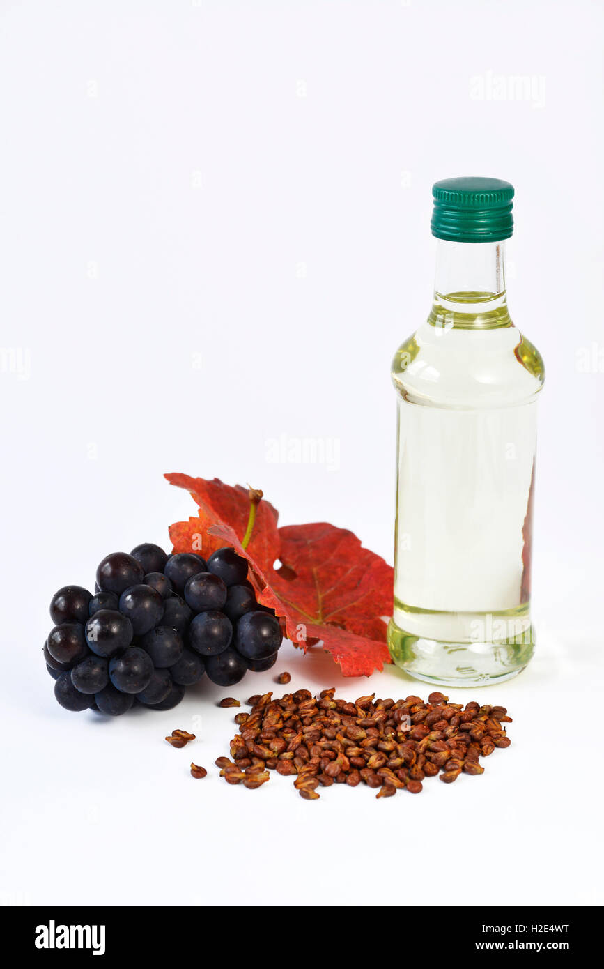 Grape Vine (Vitis vinifera). Leaves, grapes, seeds and a bottle with
