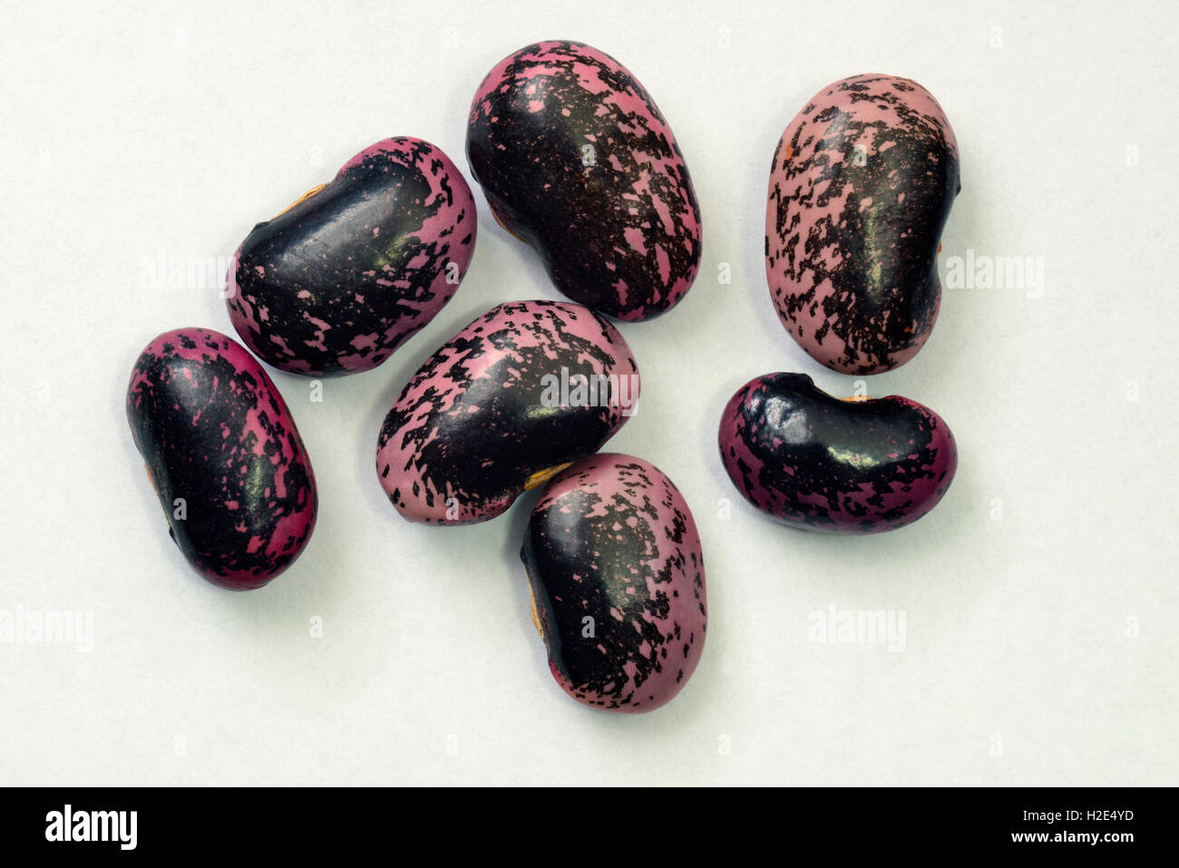 Runner bean, Scarlet Runner (Phaseolus coccineus). Seeds (beans