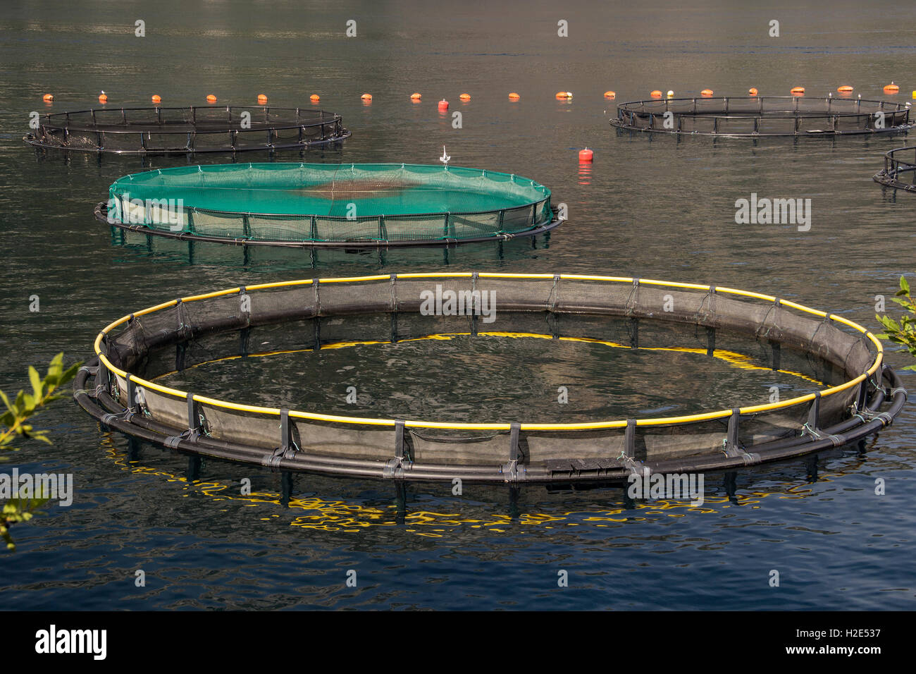 Bay of Kotor, Montenegro - Floating fish hatcheries Stock Photo