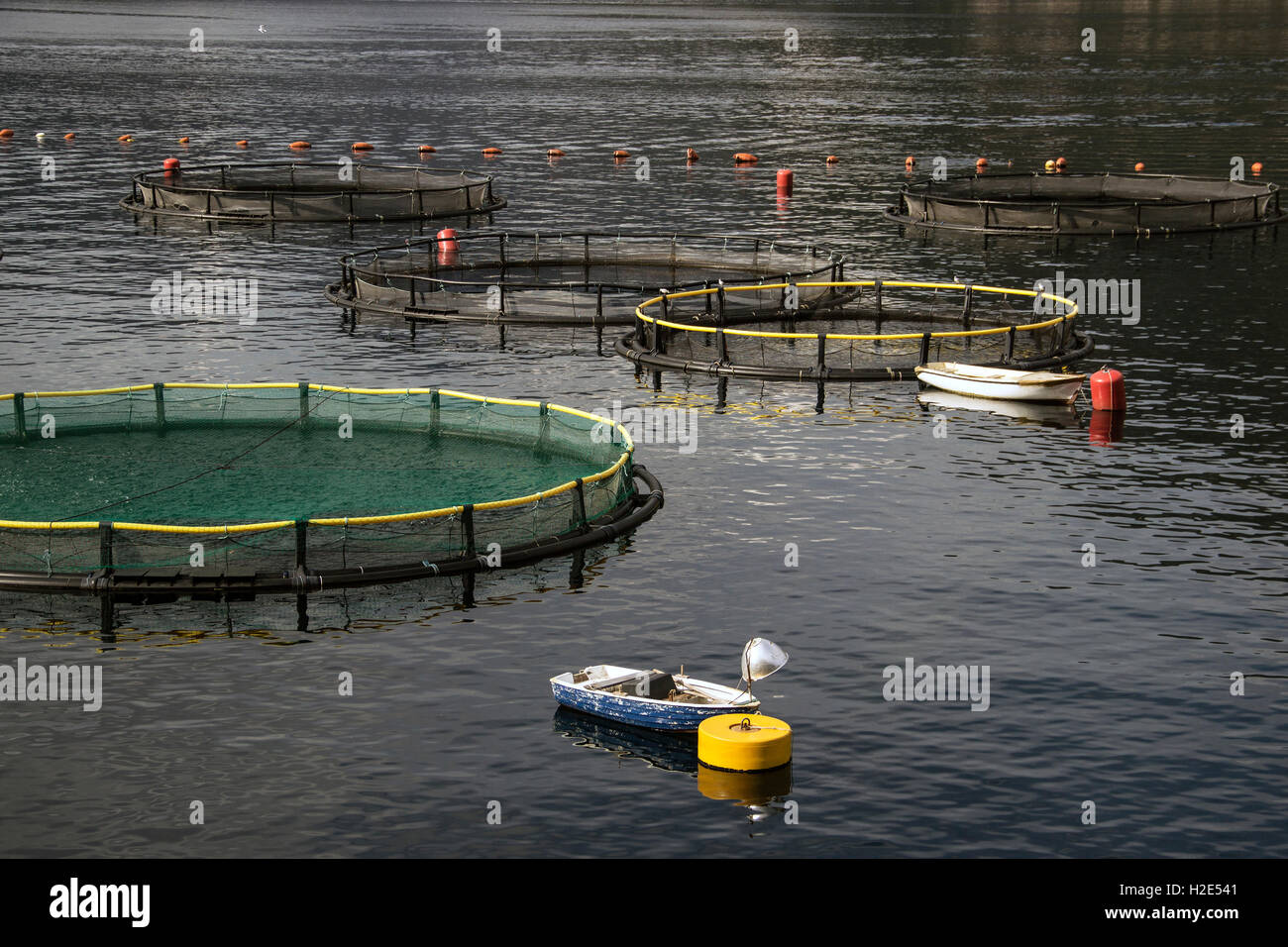 Bay of Kotor, Montenegro - Floating fish hatcheries Stock Photo