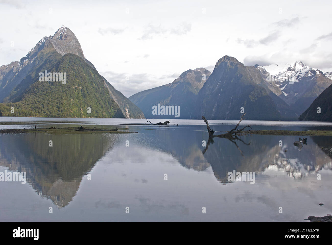 Milford Sound on a clear Spring morning in Fiordland National Park. Mitre Peak reflects like a mirror in crystal clear water. Stock Photo