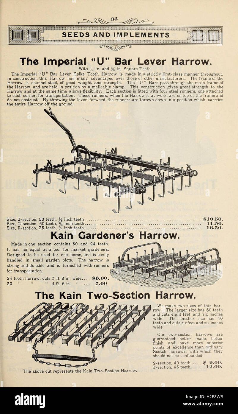 This historical catalog from 1904 features a variety of seeds and