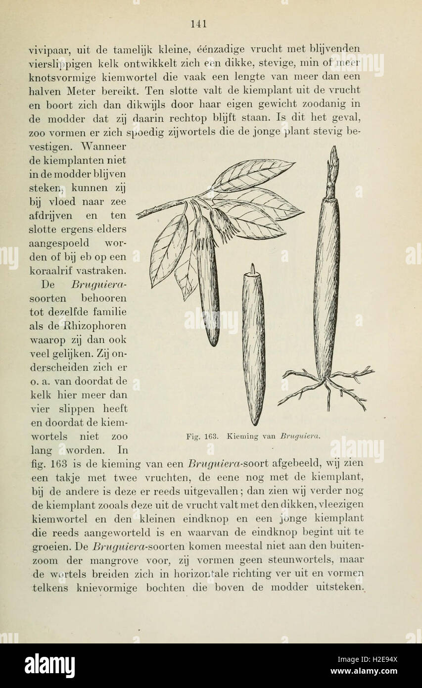 Local Botany This concise textbook on botany is designed for the study of plants in ...
