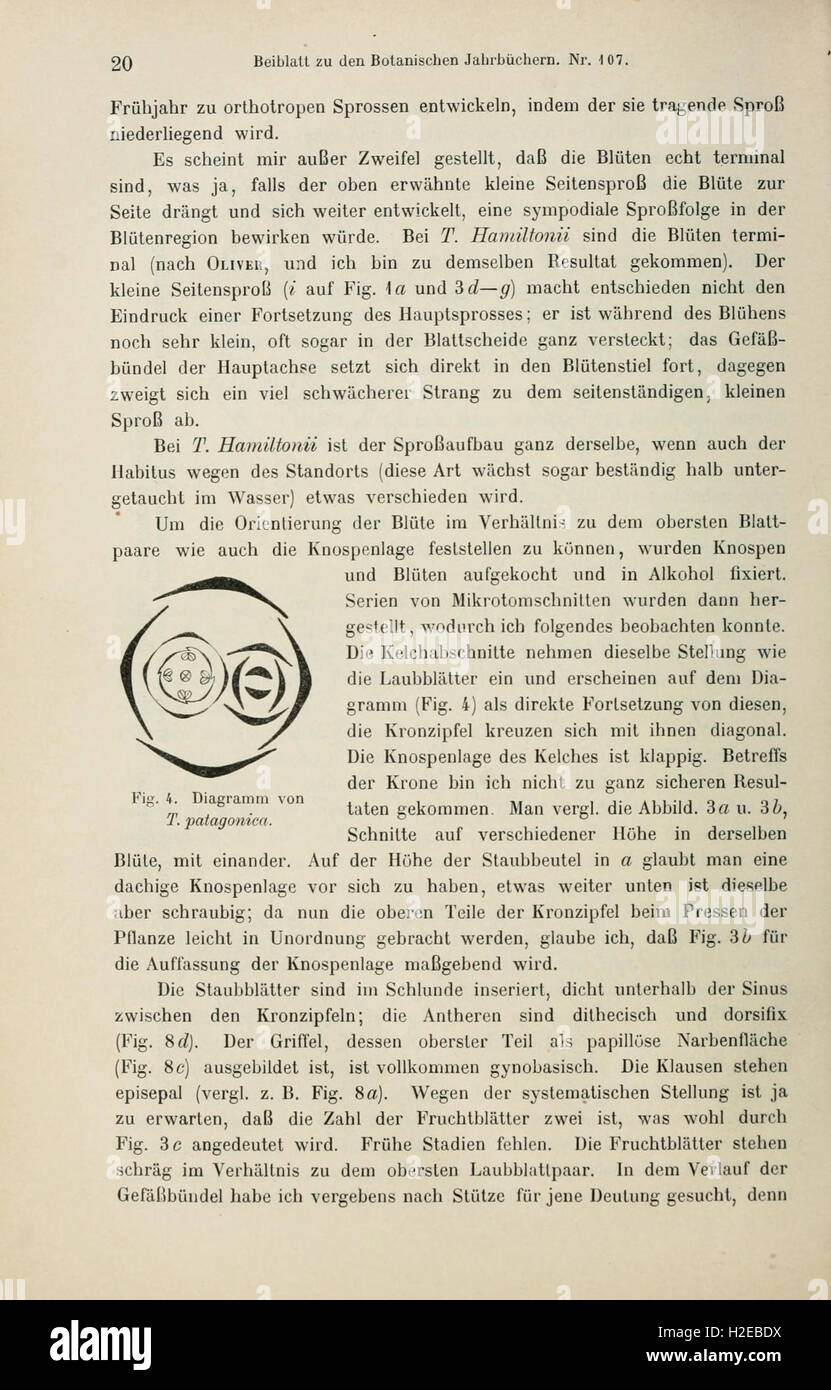 Botanische Jahrbücher fur Systematik, Pflanzengeschichte und