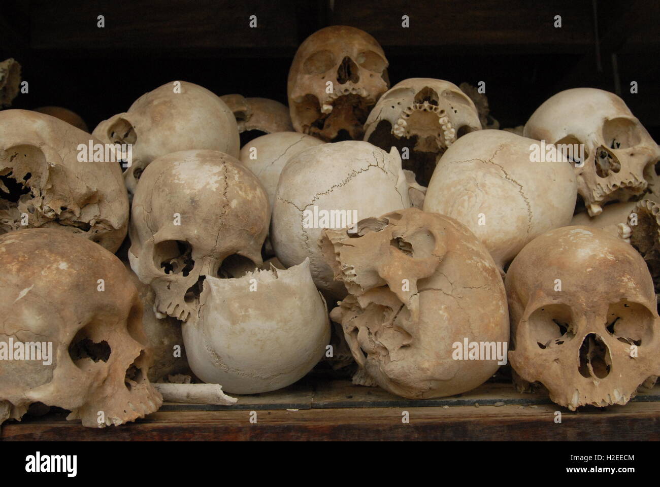 The Killing Fields, Human Skulls at Choeung Ek Genocide Memorial, Phnom Penh, Cambodia. credit: Kraig Lieb Stock Photo