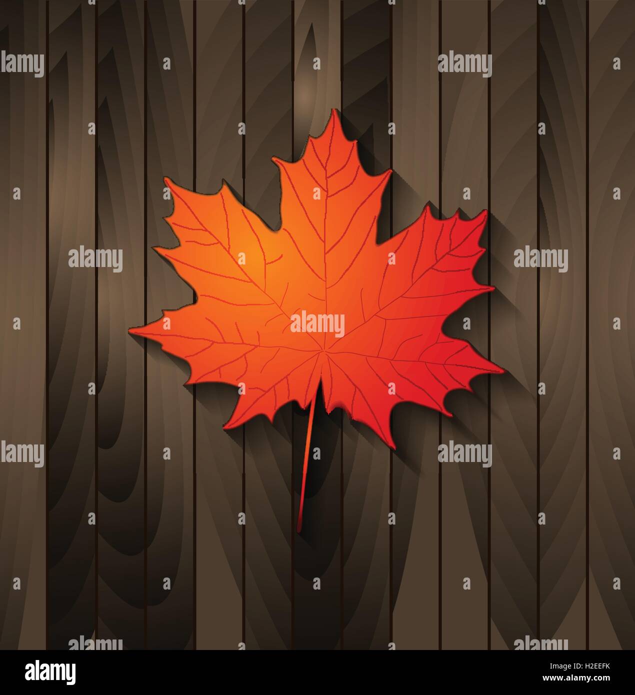 Autumn maple leaf on wooden background. Vector design Stock Vector