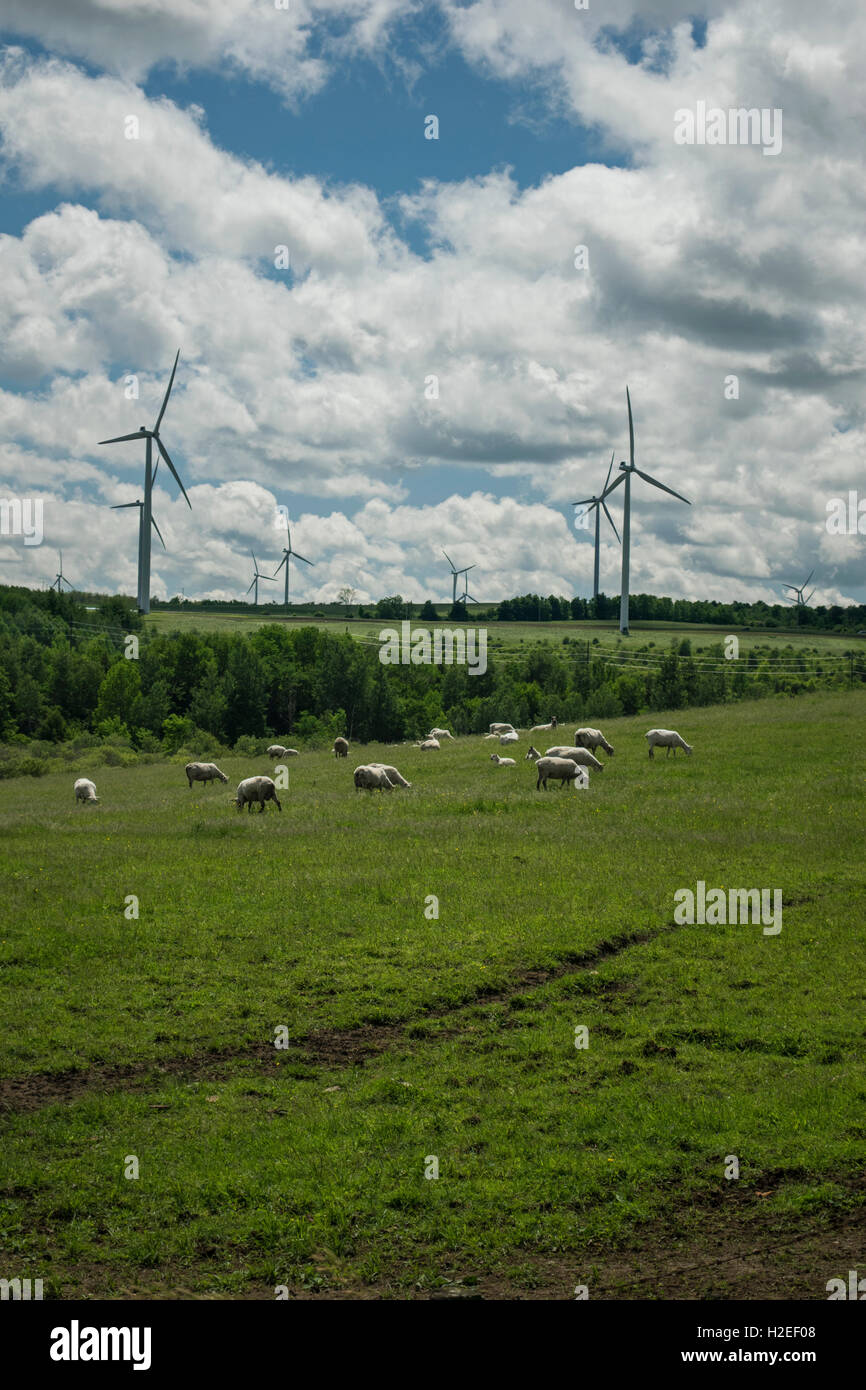 Wind farm turbines at the Tug Hill plateau in Upstate, New York Stock Photo Alamy