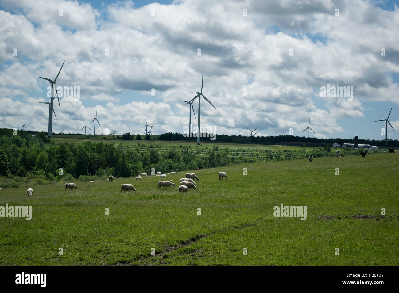 Tug hill plateau hires stock photography and images Alamy