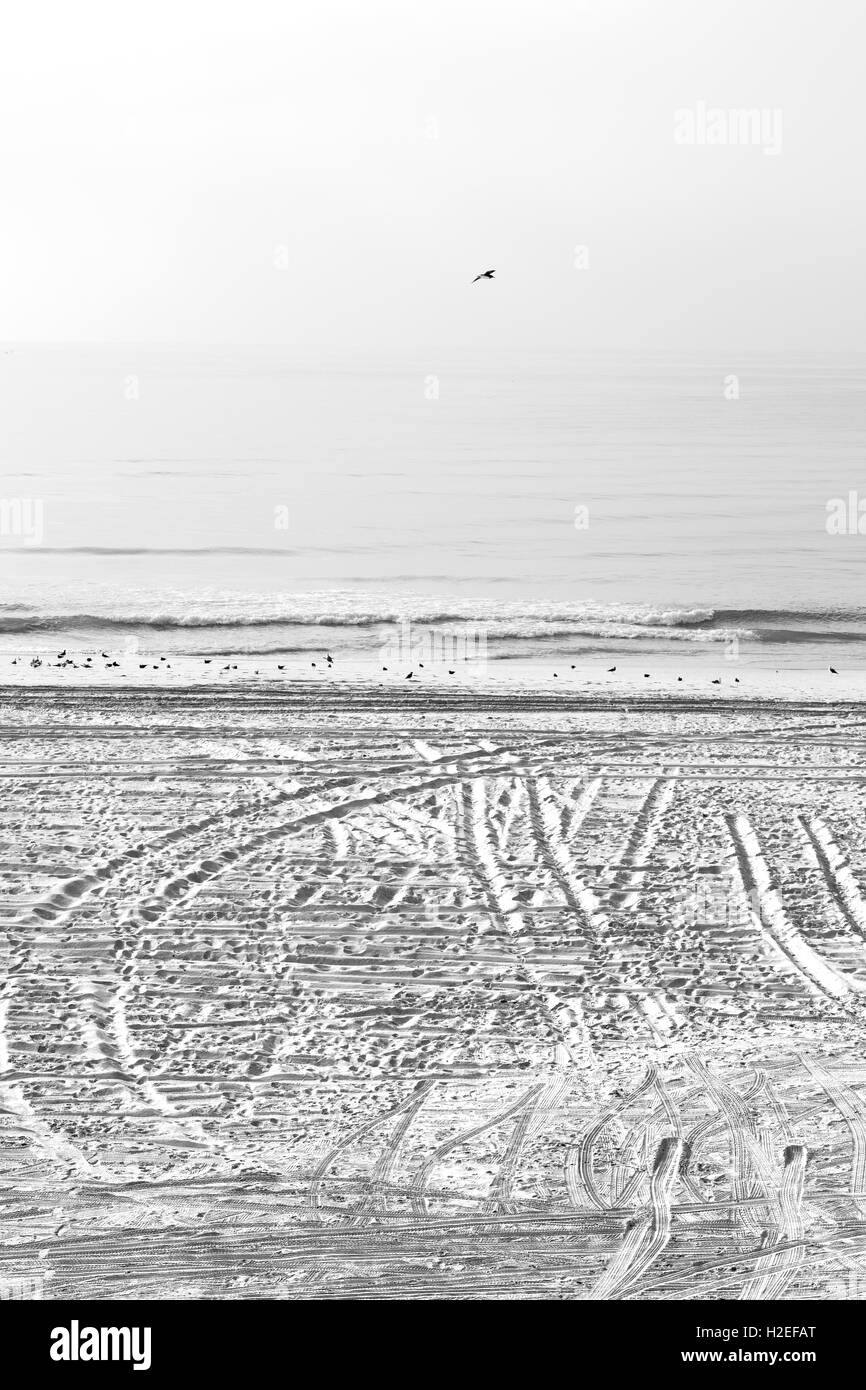 Oman beach sandy Black and White Stock Photos & Images - Alamy