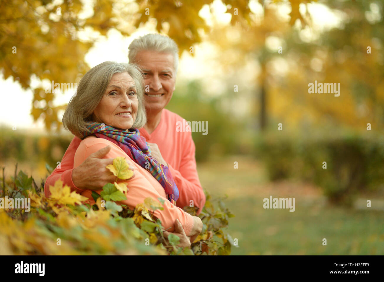 Senior couple in autumn park Stock Photo - Alamy