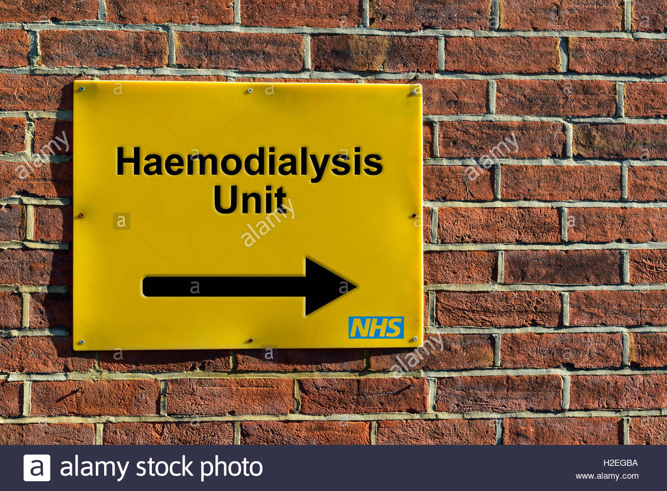 Hemodialysis High Resolution Stock Photography and Images - Alamy