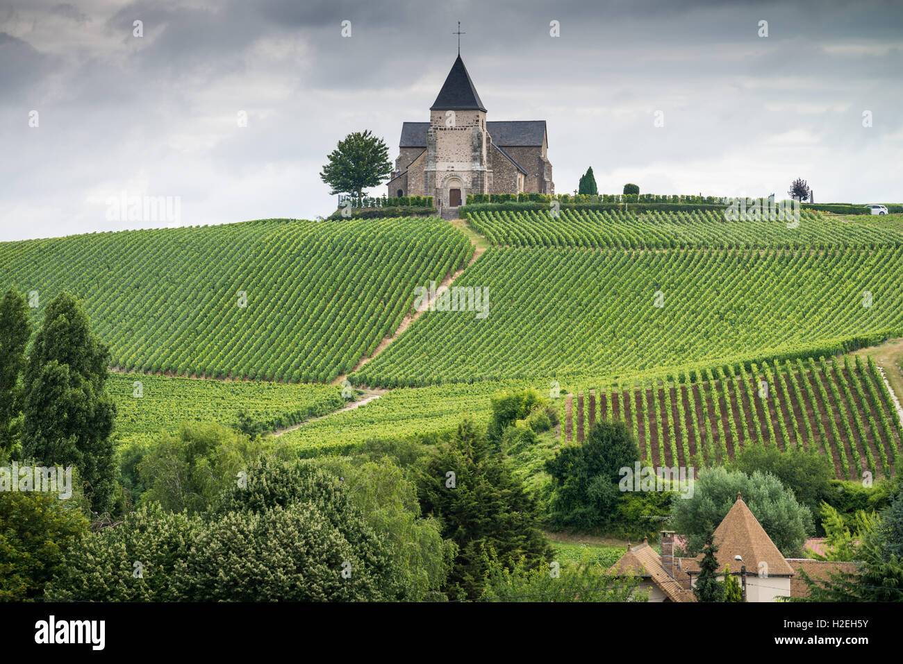 Moet Chandon Vineyards France Champagne House Stock Photo