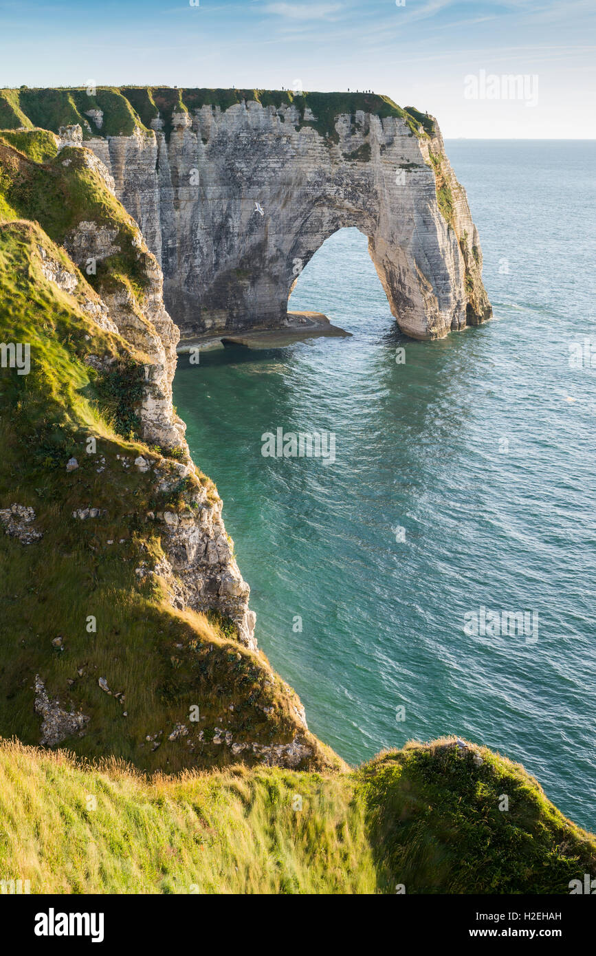 The cliffs of Etretat on the Normandy coast, France, EU, Europe Stock ...
