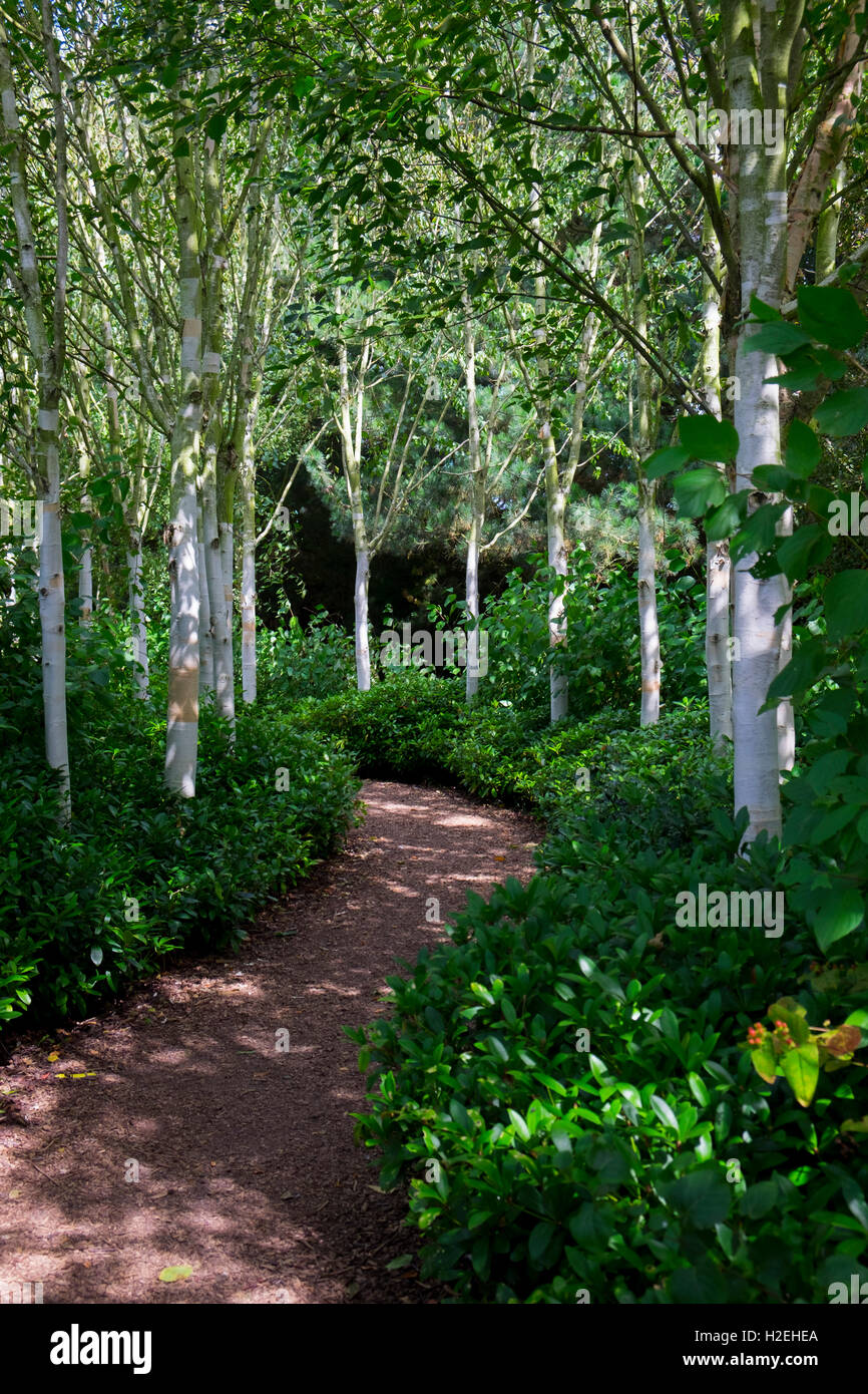 Old Vicarage Gardens, East Ruston, Norfolk, UK Stock Photo