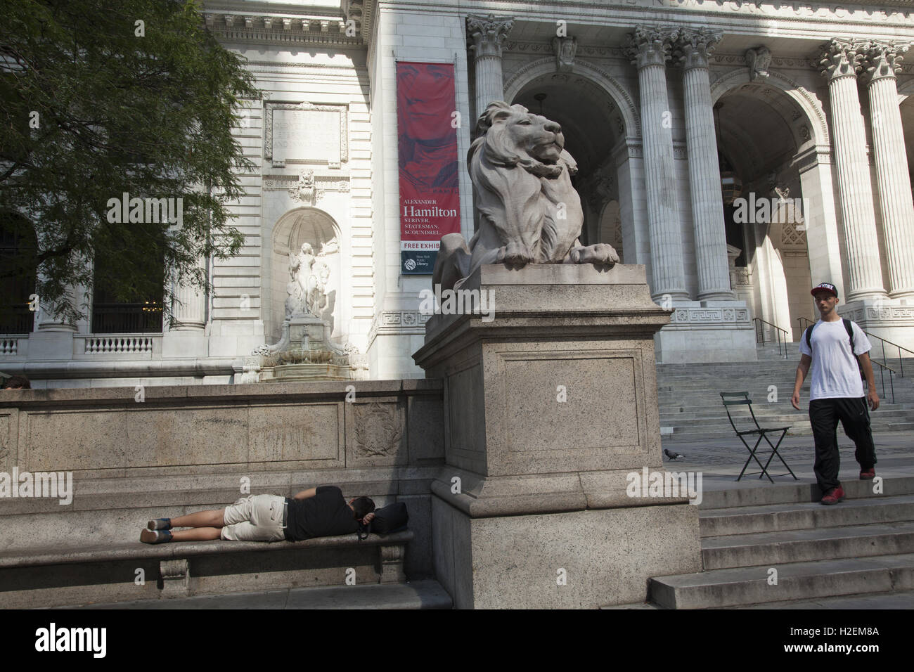 One of the two lions at the entrance of the NY Public Library along 5th