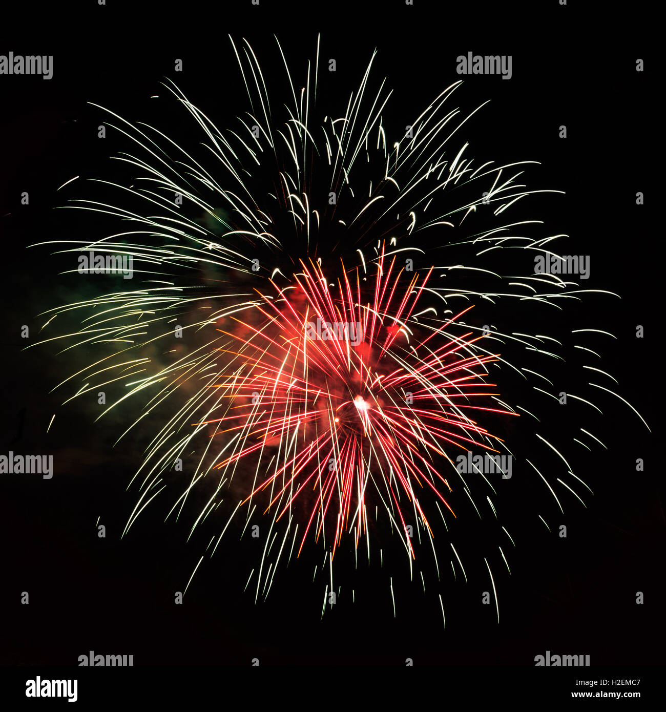 White red beautiful colorful amazing celebration fireworks, salute with