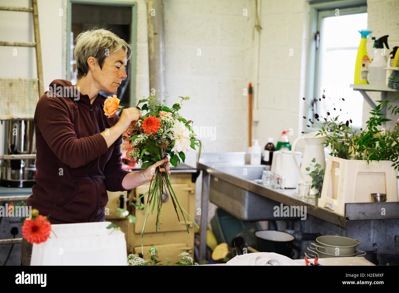 View of Organic flower arrangements. A woman creating a hand tied bouquet Stock ...