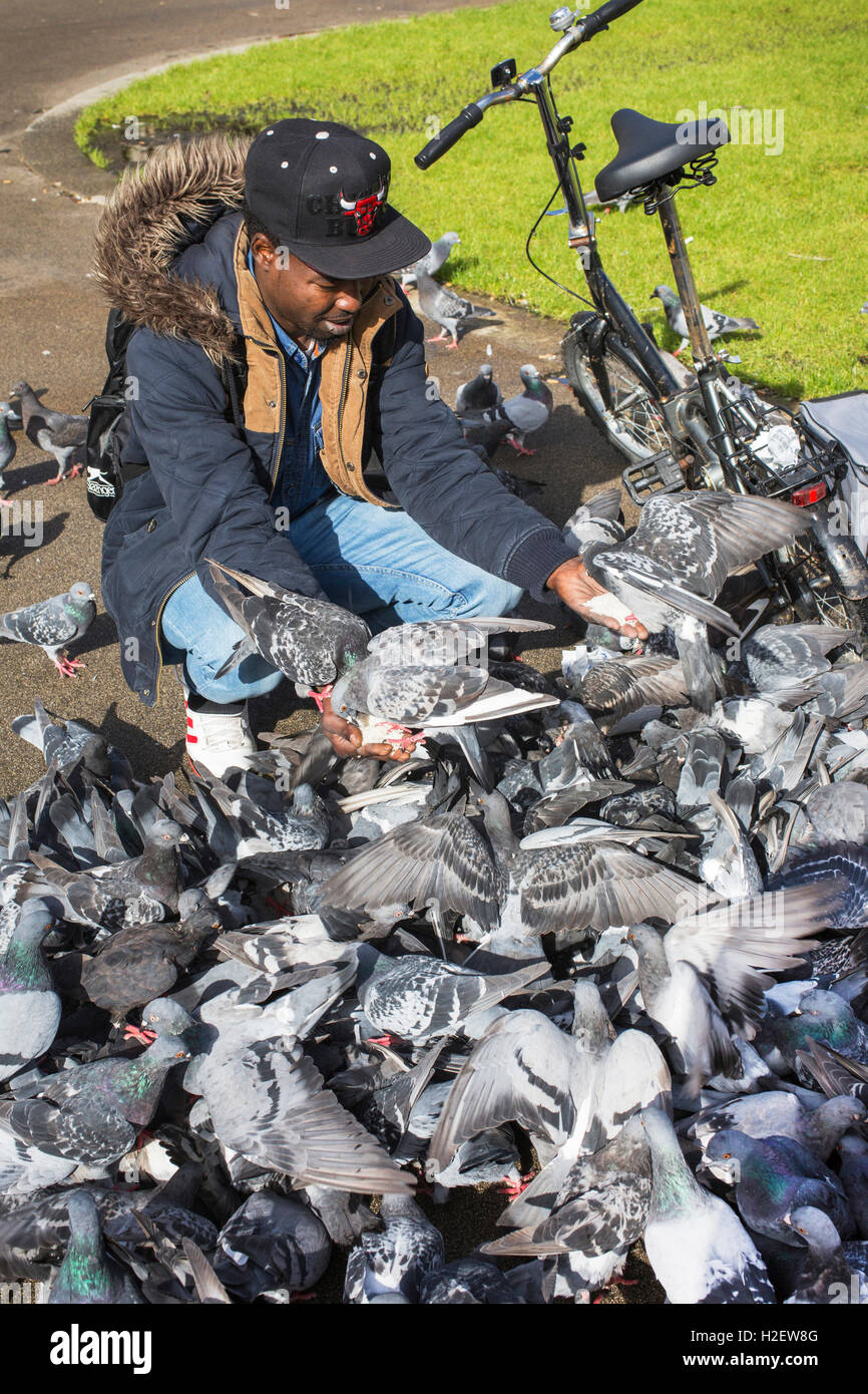 Glasgow, Scotland, UK. 27th September, 2016. YAGOUB ABDULLAH, age 25, student and (legal) refugee from Sudan, most lunch times, can be seen in George Square, Glasgow, feeding the city's pigeons with rice grains he buys from his local store. He claims that the pigeons now recognize him when he cycles into the Square, flock around him and have become so tame that they perch on him while feeding. Credit:  Findlay/Alamy Live News Stock Photo