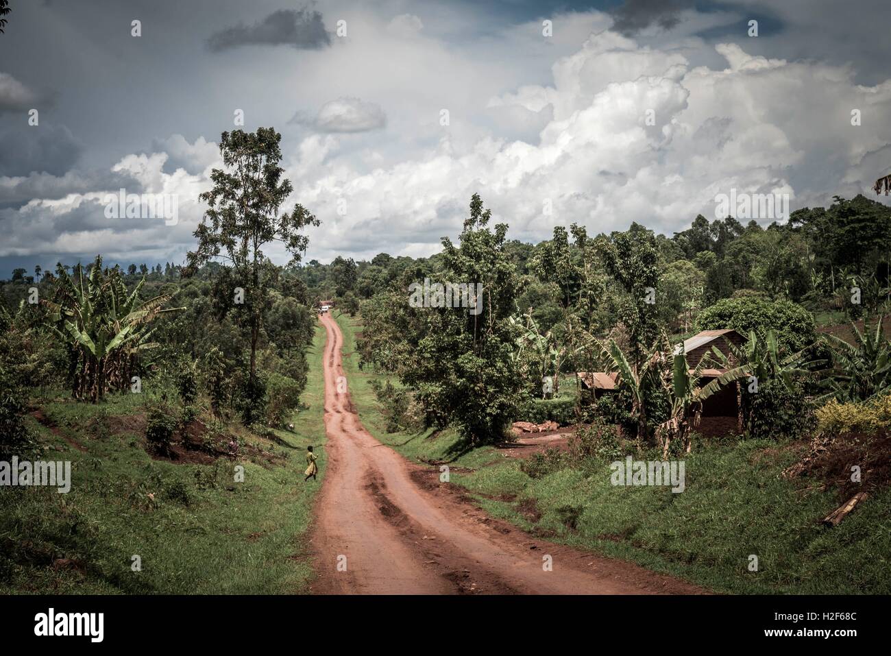A laterite road cuts through Ugandan landscape. (Photo from April 2015 ...