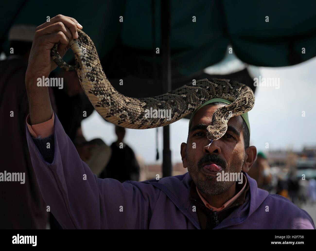 A Moroccan snake charmer kisses a snake at the Jemaa el Fna market square April 3, 2012 in Marrekech, Morocco. Stock Photo