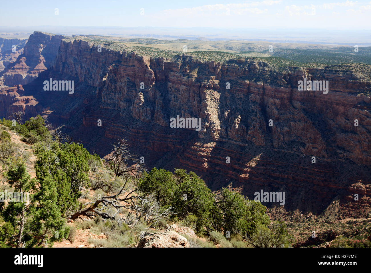 South Rim Grand Canyon, Arizona, USA Stock Photo - Alamy