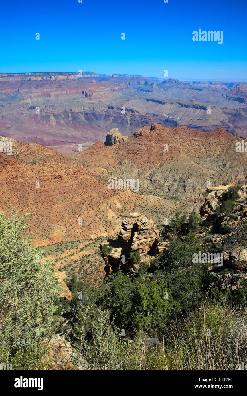 South Rim Grand Canyon, Arizona, USA Stock Photo - Alamy