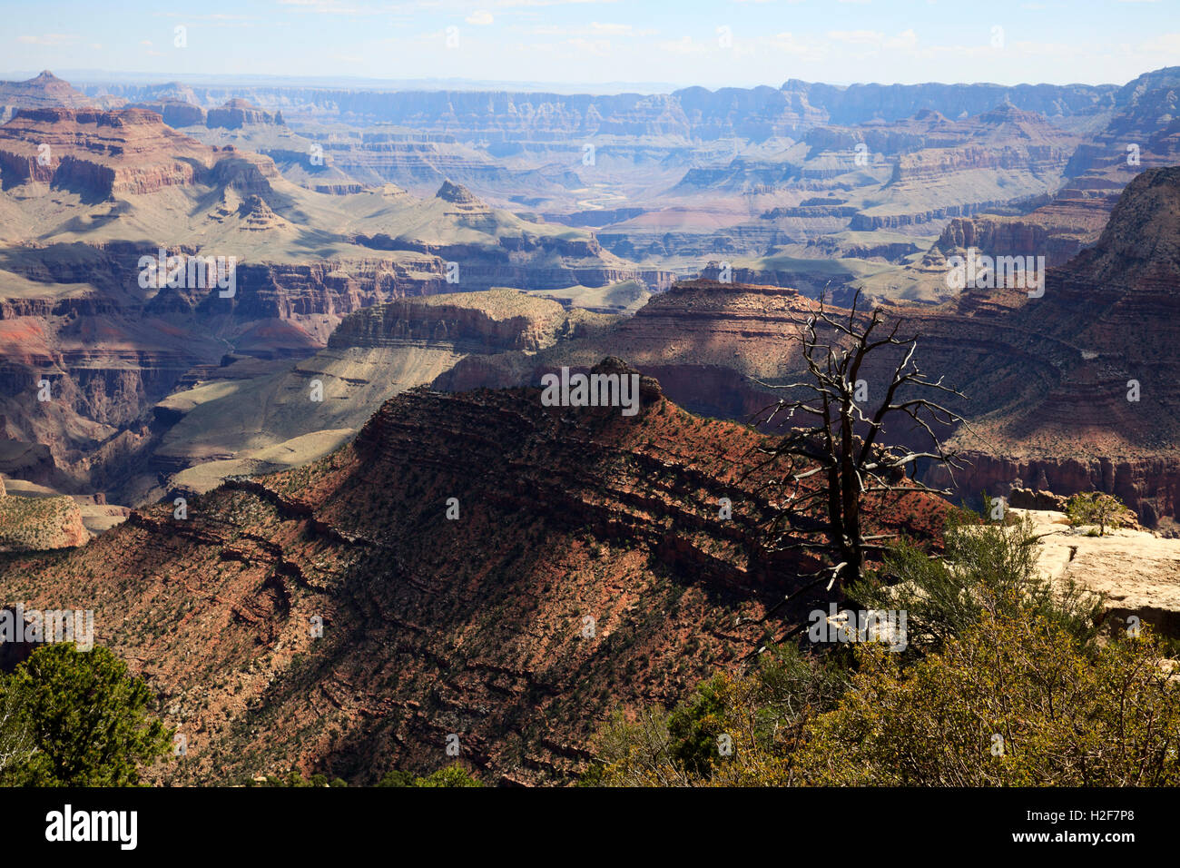 South Rim Grand Canyon, Arizona, USA Stock Photo - Alamy