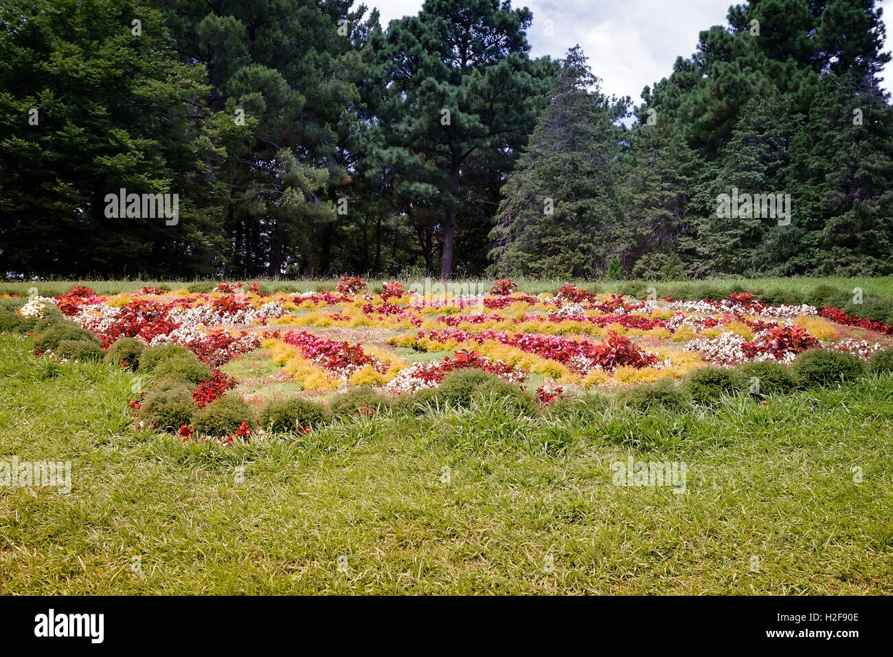 Beautiful trees flowers in park hi-res stock photography and images - Alamy