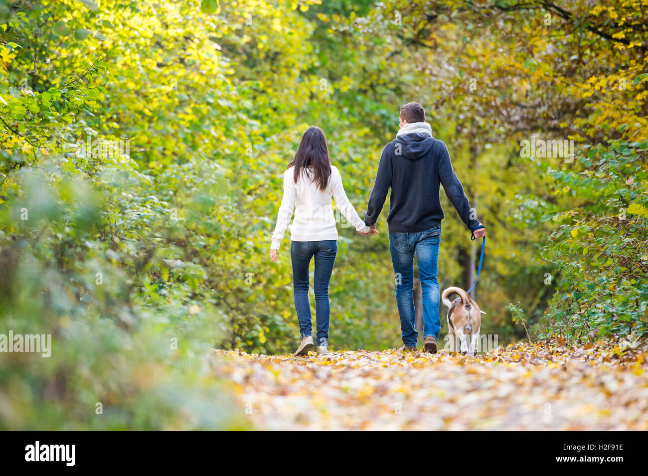 Young couple with dog on a walk in autumn forest Stock Photo