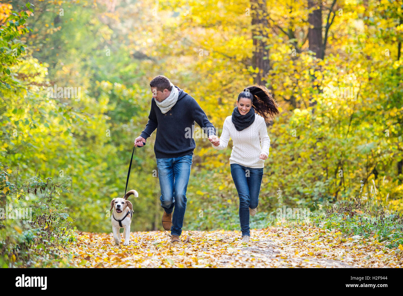 Beautiful young couple with dog running in autumn forest Stock Photo ...