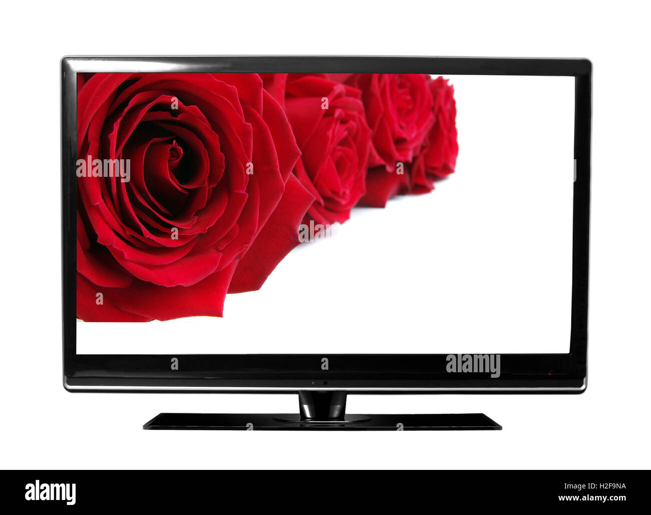 big tv screen with roses Stock Photo