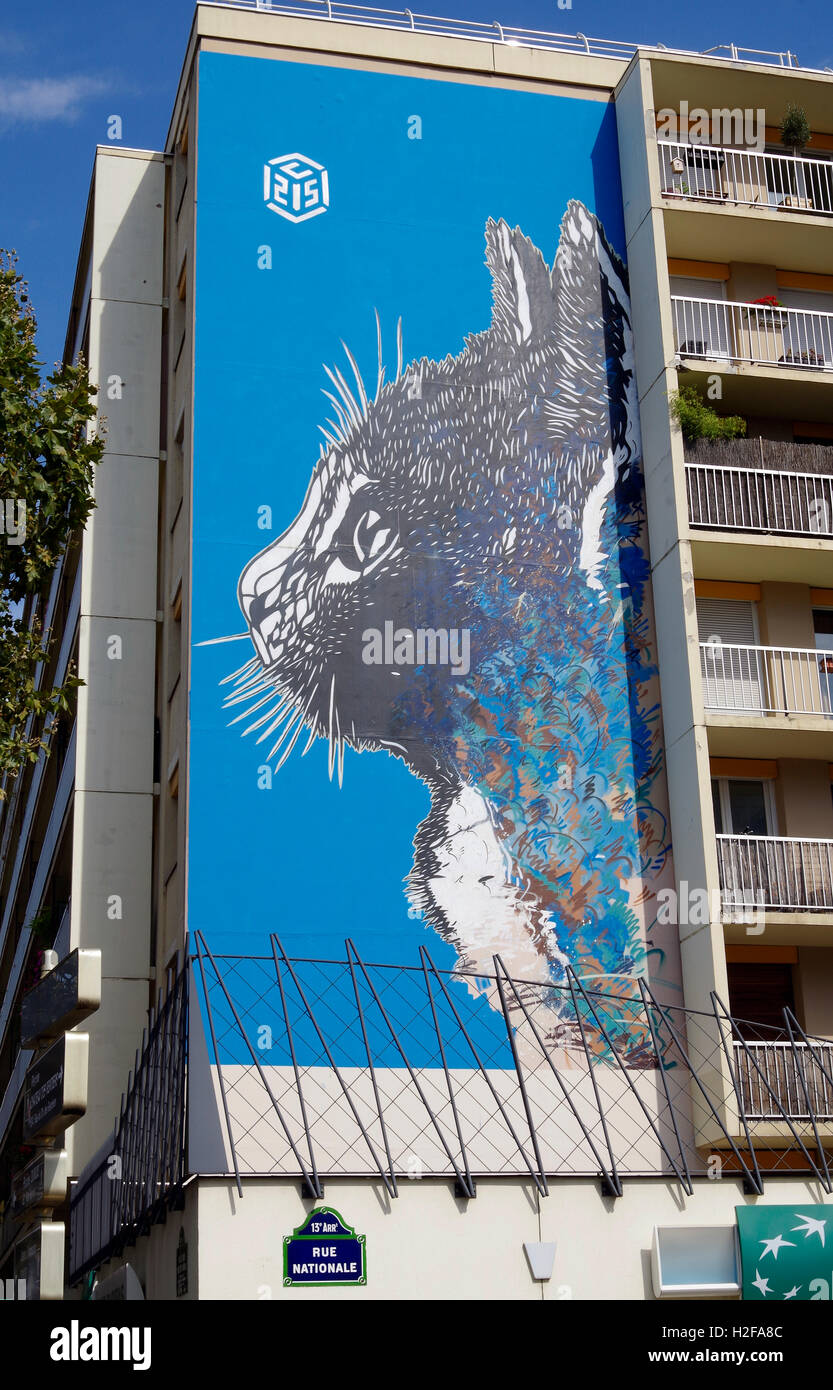 Paris France Mural of Colossal 6-storey Cat's face Stock Photo