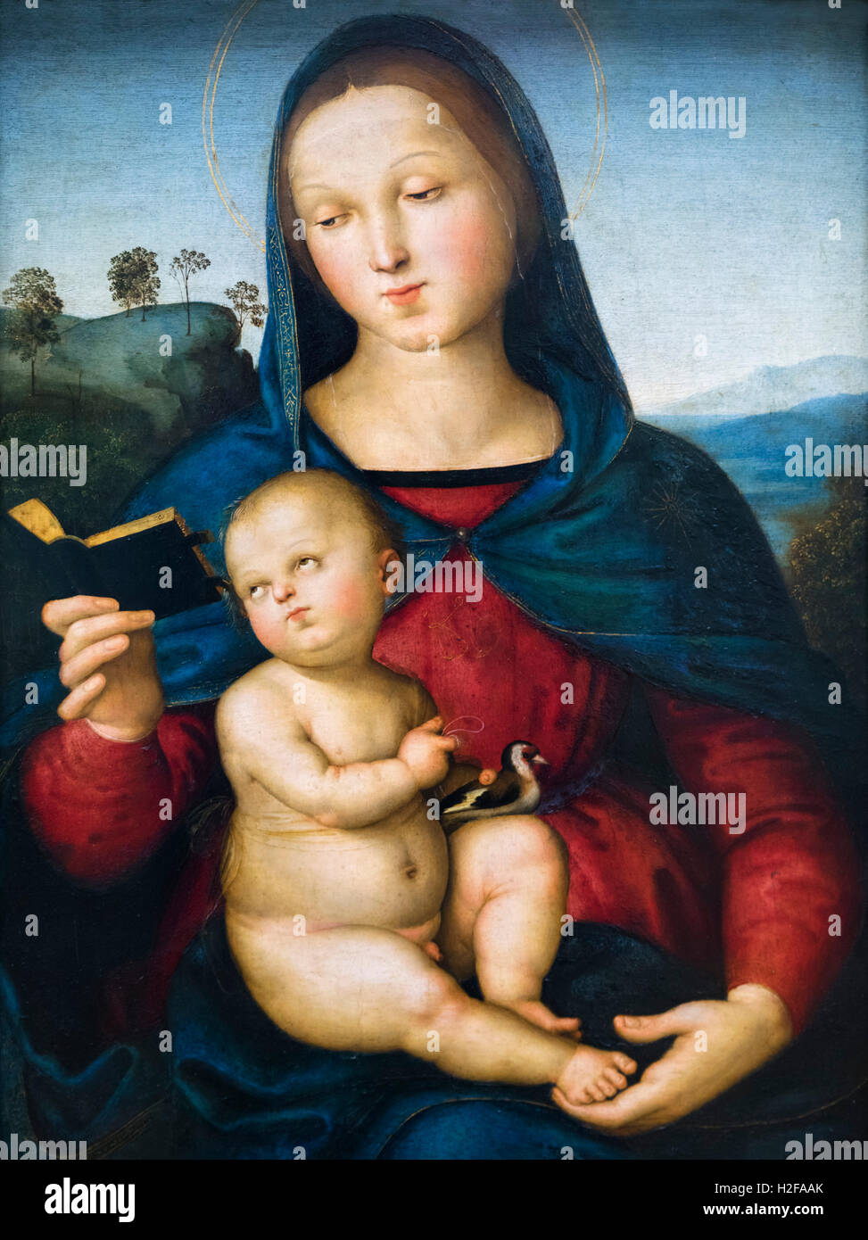 The Solly Madonna (Mary with Child) by Raphael (Raffaello Sanzio da Urbino, 1483–1520), oil on panel, 1502. Stock Photo