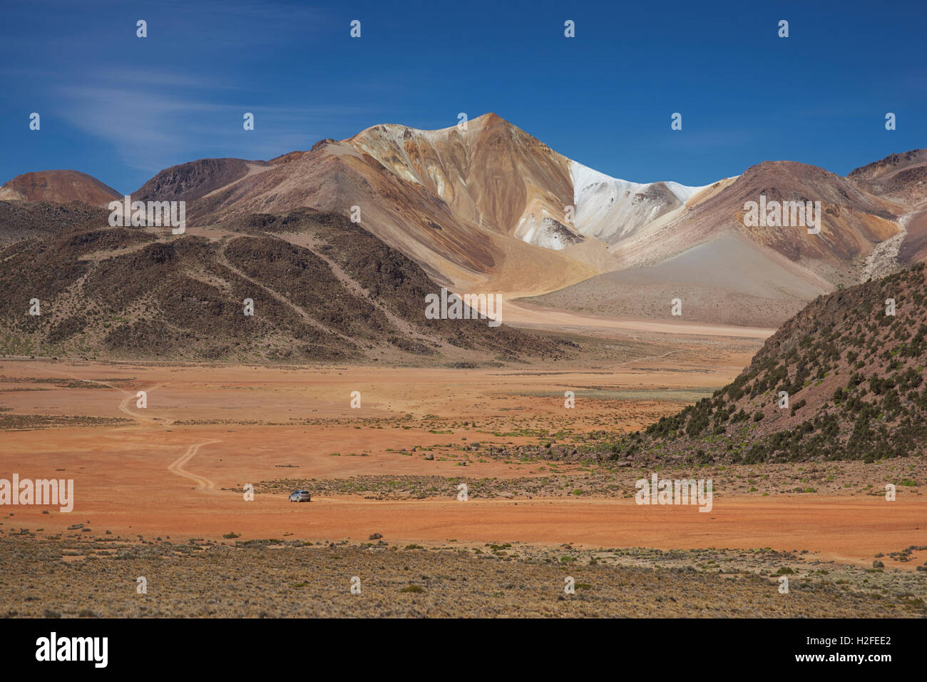 Altiplano of Chile Stock Photo