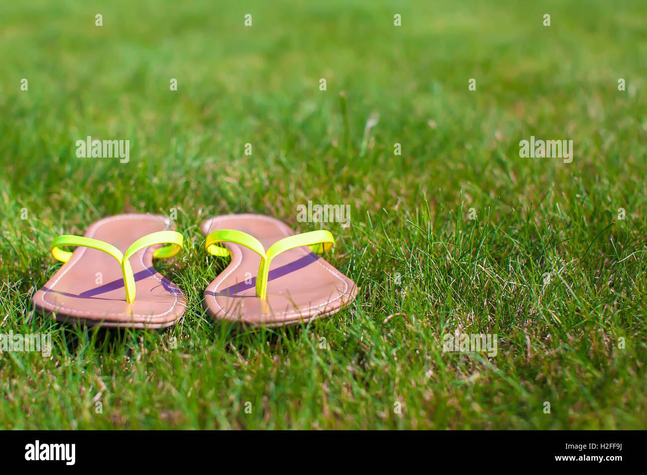 Closeup of bright flip flops on green grass Stock Photo - Alamy