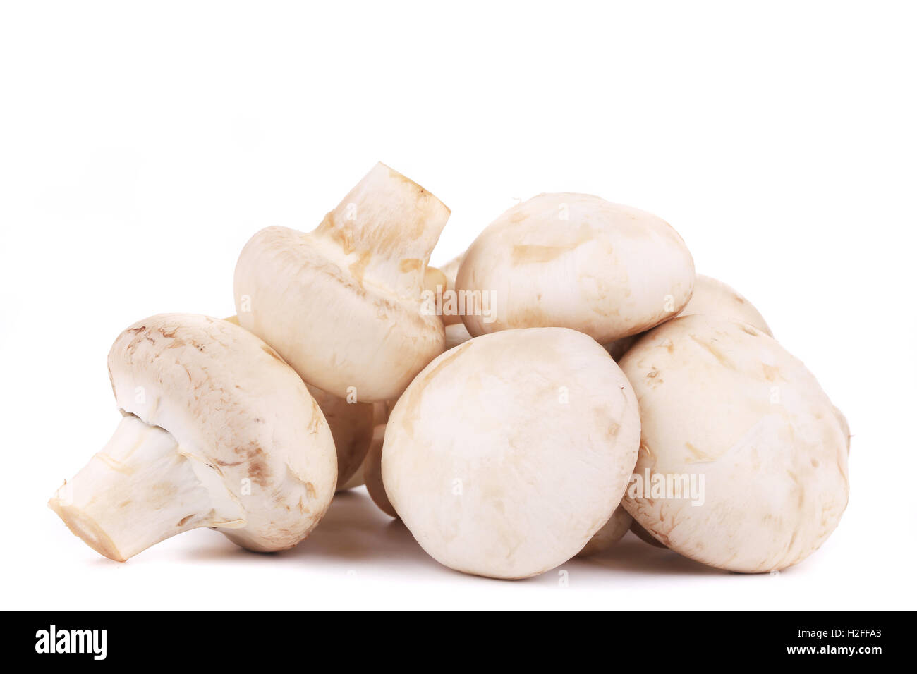 Bunch of white mushrooms close up. Stock Photo
